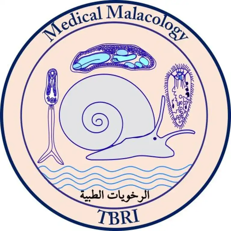 Video Image