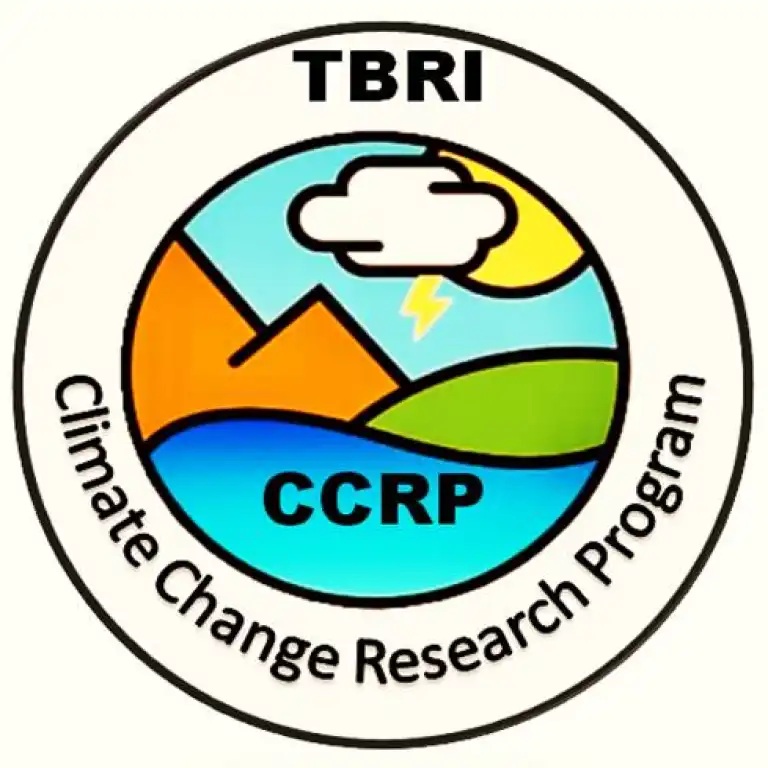 Video Image